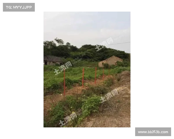 常州与镇江激战正酣 地王谷之争谁将拔得头筹 常州与镇江激战正酣 地王谷之争谁将拔得头筹