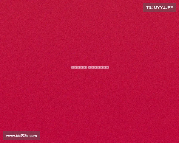 都灵尚未向扎尼奥洛报价 球员正随加拉塔萨雷备战新赛季